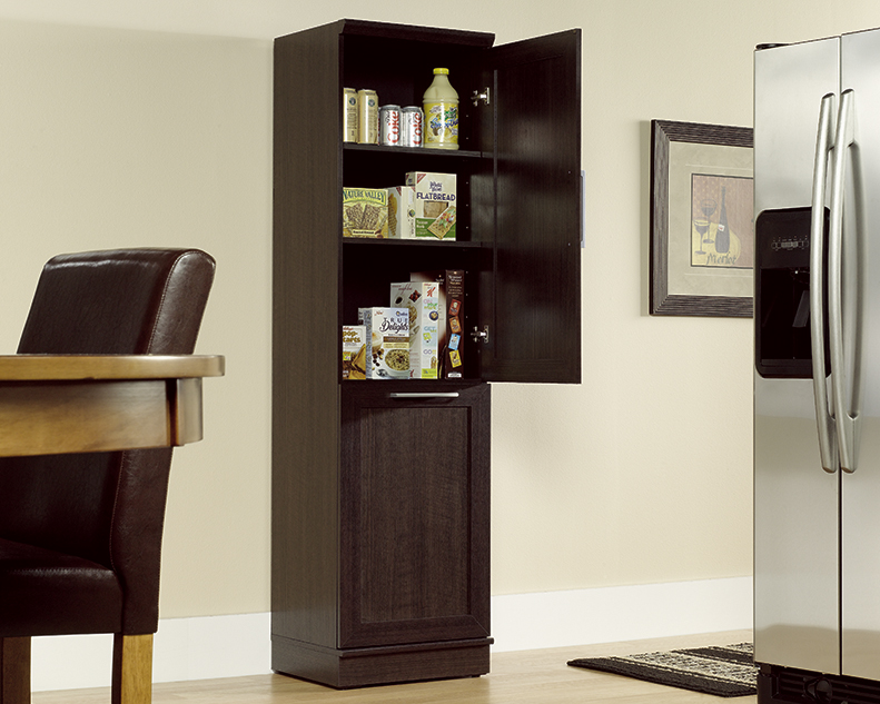 Homeplus sauder cabinet storage dakota oak finish