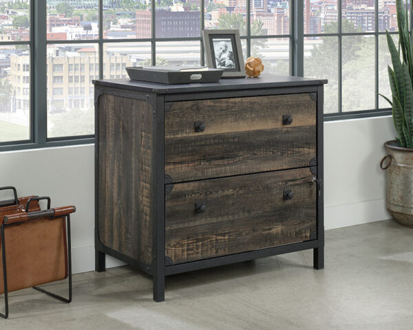 2-Drawer Lateral File Cabinet in Carbon Oak